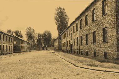 Auschwitz-birkenau kampı