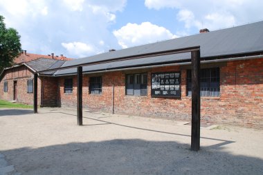 Auschwitz-birkenau toplama kampı