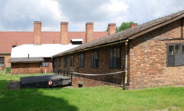 Auschwitz-birkenau toplama kampı