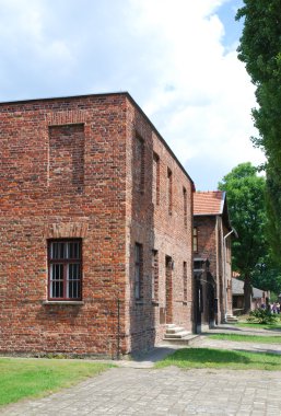 Auschwitz-birkenau toplama kampı