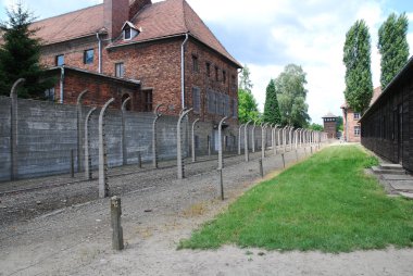 Auschwitz-birkenau toplama kampı