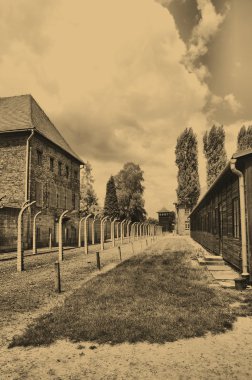 Auschwitz-birkenau kampı