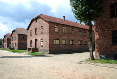 Auschwitz-birkenau toplama kampı