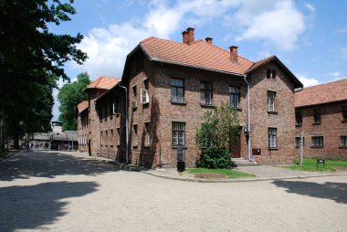 Auschwitz-birkenau toplama kampı