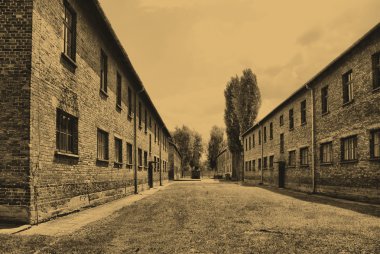 Auschwitz-birkenau kampı