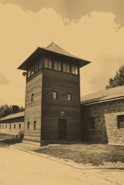 Auschwitz-birkenau kampı