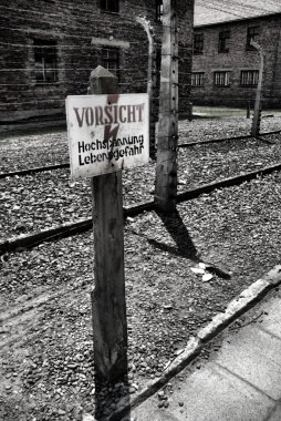 Auschwitz-birkenau kampı