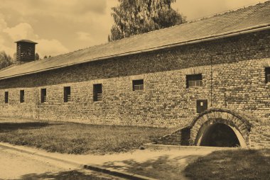 Auschwitz-birkenau kampı