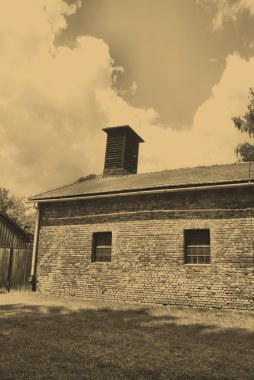 Auschwitz-birkenau kampı