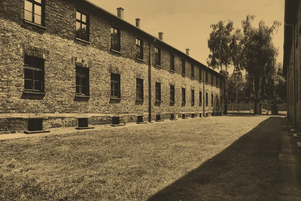 Camp d'Auschwitz birkenau — Photo