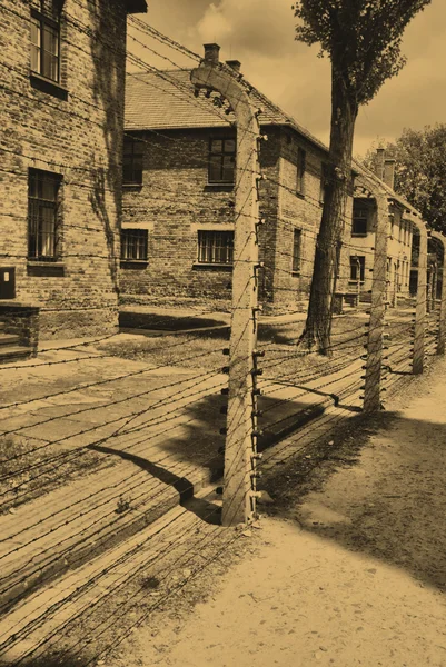 Auschwitz birkenau 캠프 — 스톡 사진