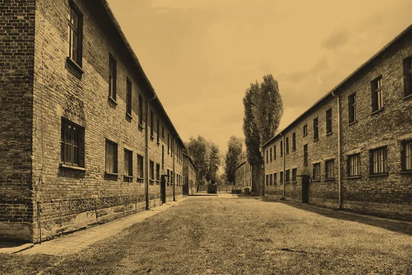 Аушвиц-Биркенау — стоковое фото