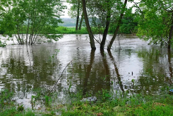 Наводнения на юге Польши — стоковое фото