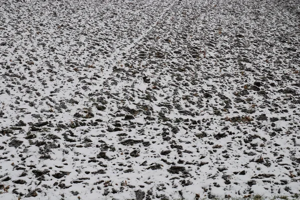Kar ve hoarfrost — Stok fotoğraf