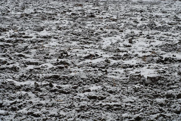 Kar ve hoarfrost — Stok fotoğraf