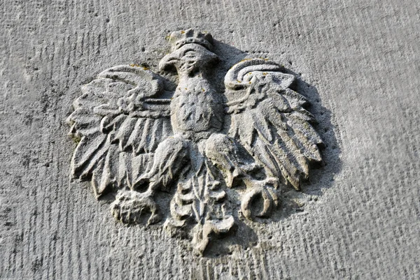 Польский орёл — стоковое фото