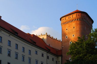 wawel Royal castle, cracow