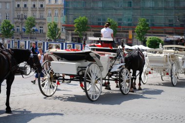 Atlı arabaları tırıs krakow etrafında