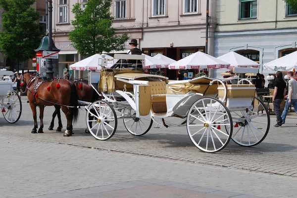 Horse-drawn buggies trot around Krakow — Stock Photo, Image