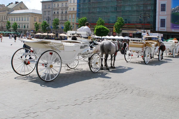 stock image Horse-drawn buggies trot around Krakow