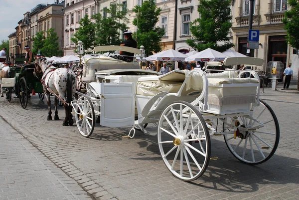 Trote de buggies puxado por cavalos em torno de Cracóvia — Fotografia de Stock
