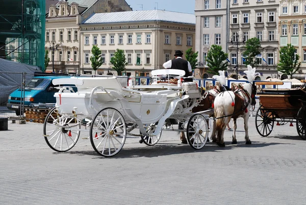Horse-drawn buggies trot around Krakow — Stock Photo, Image