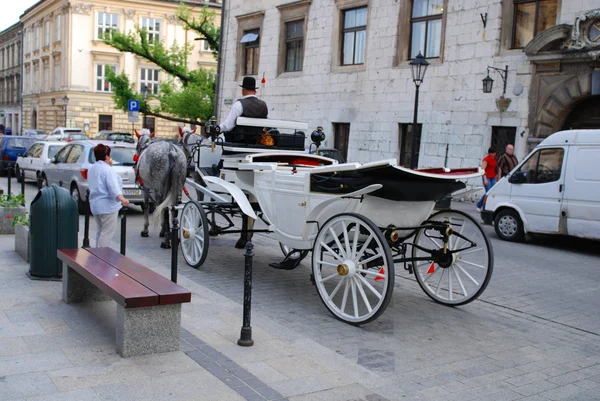Paarden getrokken buggy's draf rond krakow — Stockfoto