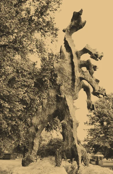 Wawelski-Drachenstatue — Stockfoto