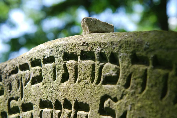 Stary cmentarz żydowski w Ozarowie. Polska — Zdjęcie stockowe