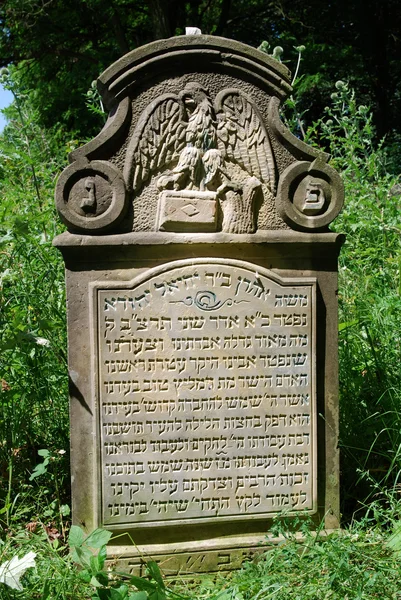 Gamla judiska kyrkogården i Ożarów. Polen — Stockfoto