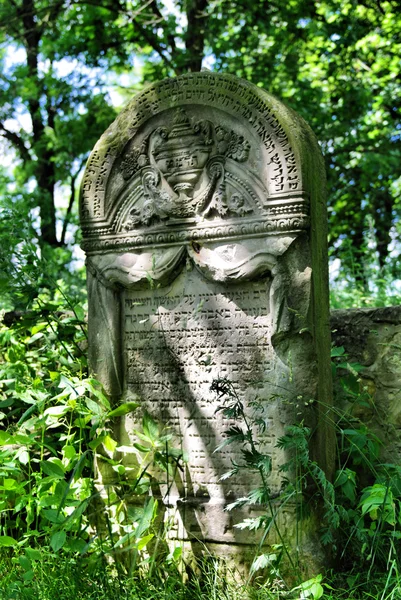 Ozarow에 있는 오래 된 유태인 묘지. 폴란드 — 스톡 사진