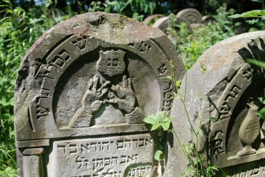 eski Yahudi Mezarlığı'ozarow. Polonya
