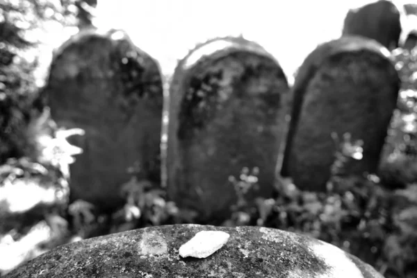 中奥扎鲁夫的老犹太公墓。波兰 — 图库照片