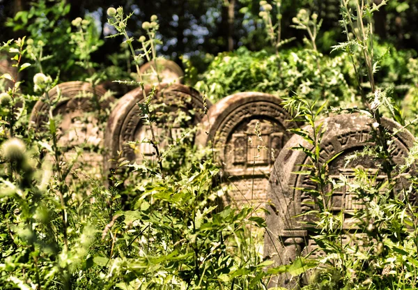 Παλιό εβραϊκό κοιμητήριο στην ozarow. Πολωνία — Φωτογραφία Αρχείου