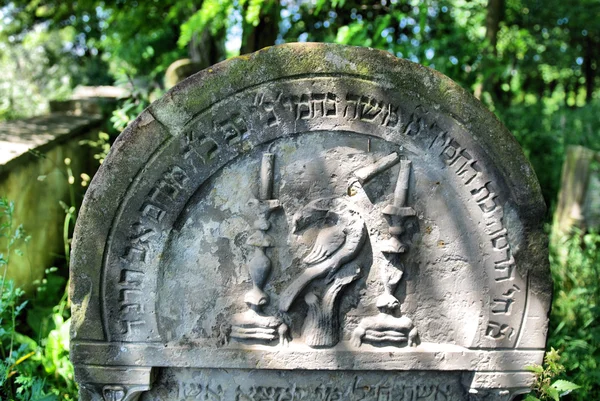 Старое еврейское кладбище в Озарове. Польша — стоковое фото