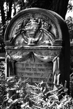 eski Yahudi Mezarlığı'ozarow. Polonya