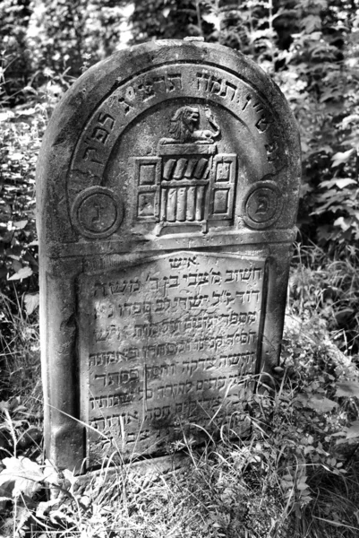 Ozarow の旧ユダヤ人墓地。ポーランド — ストック写真
