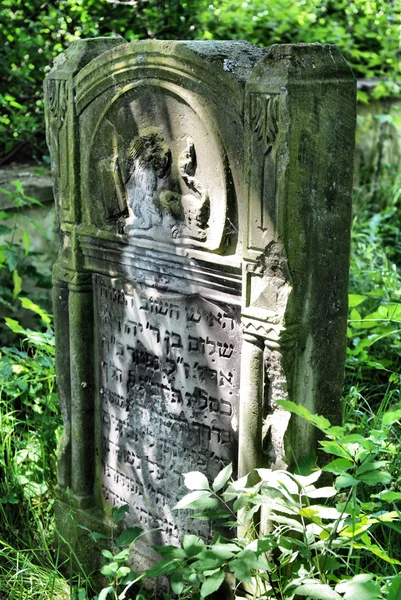 Régi zsidó temető Ożarów. Lengyelország — Stock Fotó
