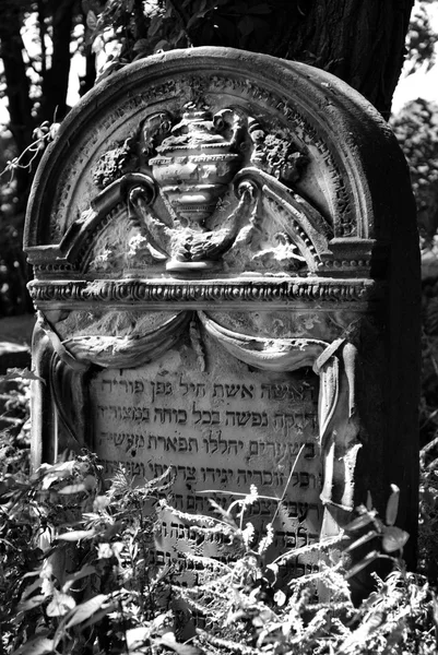 Старе єврейське кладовище у музею Варшавського повстання. Польща — стокове фото