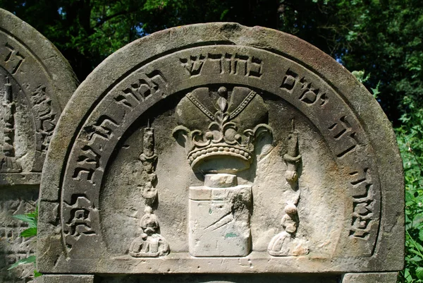 Старое еврейское кладбище в Озарове. Польша — стоковое фото