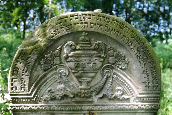 Old jewish cemetery in Ozarow. Poland — Stock Photo, Image