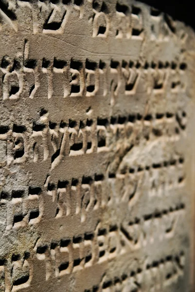 stock image Old jewish cemetery in Ozarow. Poland