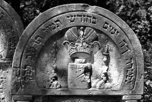 Antiguo cementerio judío en Ozarow. Polonia —  Fotos de Stock