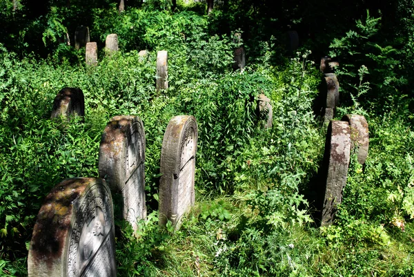 Gamla judiska kyrkogården i Ożarów. Polen — Stockfoto