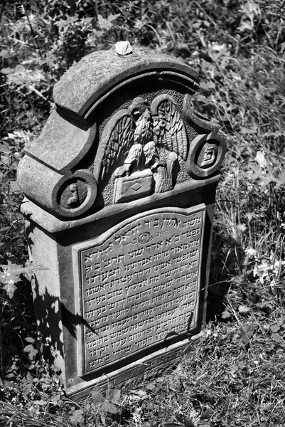 Ozarow에 있는 오래 된 유태인 묘지. 폴란드 — 스톡 사진