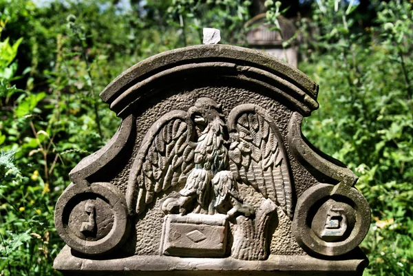 Old jewish cemetery in Ozarow. Poland — Stock Photo, Image