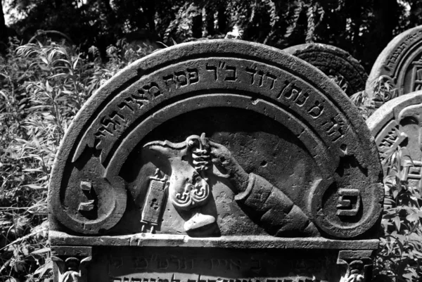 Antiguo cementerio judío en Ozarow. Polonia — Foto de Stock