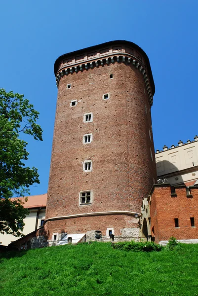 Castello Reale di Wawel a Cracovia — Foto Stock