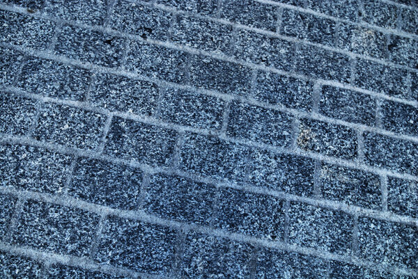 Rough texture of wet block old pavement