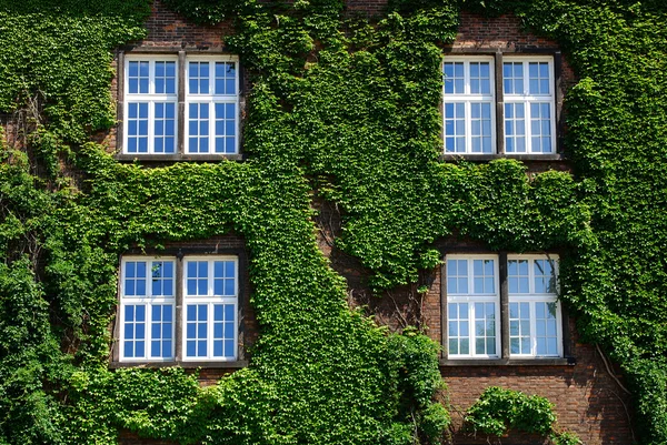 stock image Royal Wawel Castle in Cracow